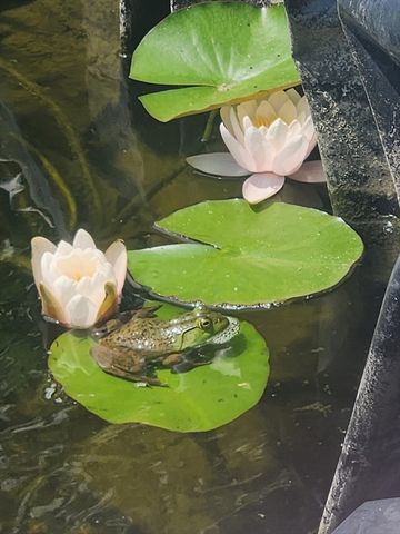 857 South St, Bridgewater, MA 02324