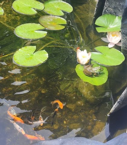 857 South St, Bridgewater, MA 02324