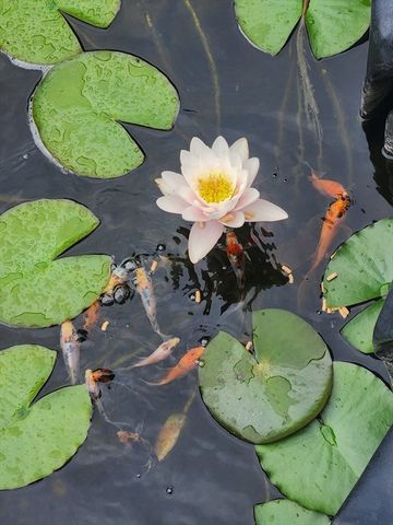 857 South St, Bridgewater, MA 02324