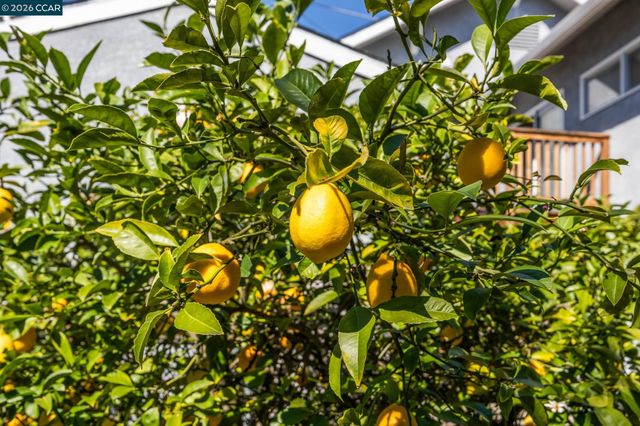 5910 Chabot Rd, Oakland, CA 94618