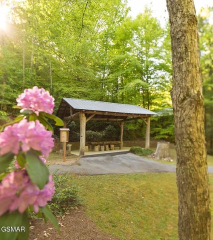 424 Country Path Way, Sevierville, TN 37862