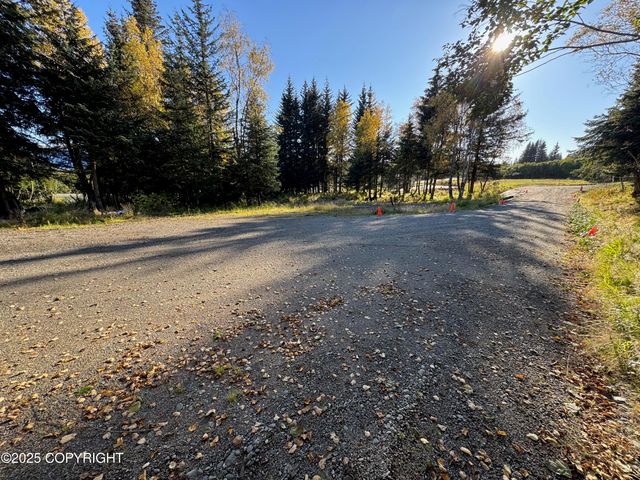 4410 E Hill Road, Homer, AK 99603