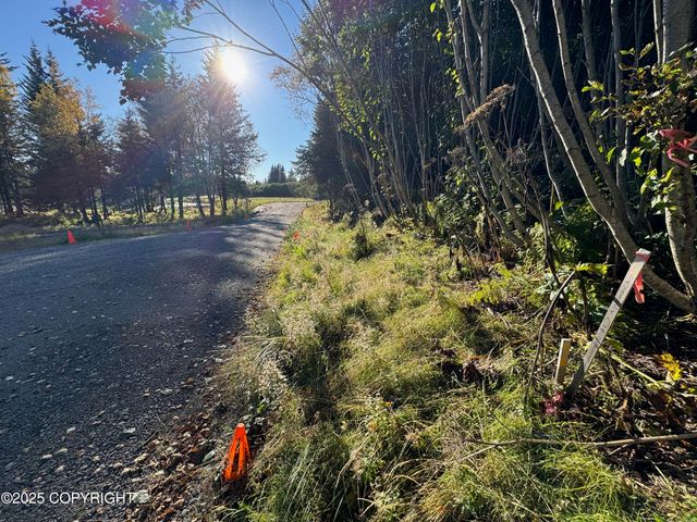 4410 E Hill Road, Homer, AK 99603