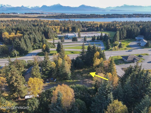 4410 E Hill Road, Homer, AK 99603