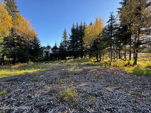 4410 E Hill Road, Homer, AK 99603