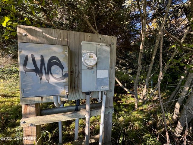 4410 E Hill Road, Homer, AK 99603