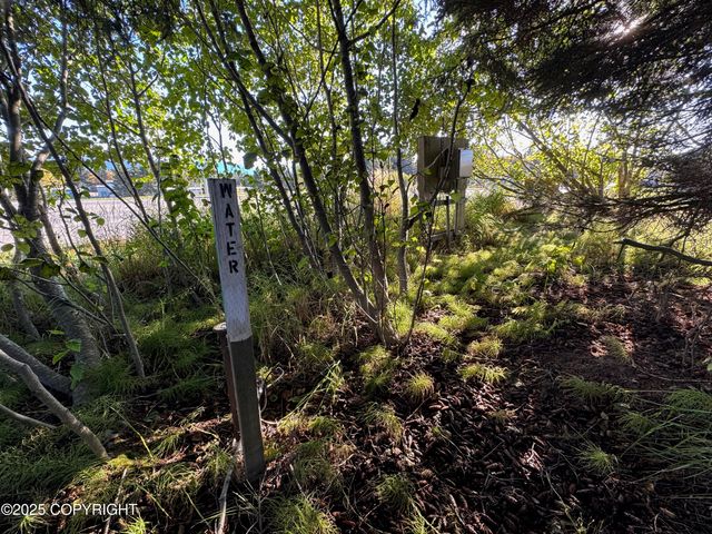 4410 E Hill Road, Homer, AK 99603