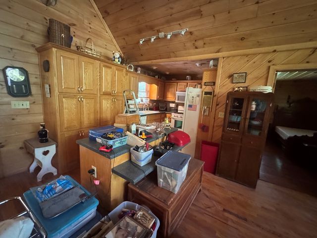 33 Big Tree Road, Suches, GA 30572