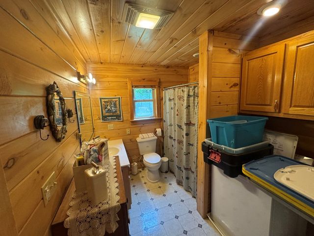 33 Big Tree Road, Suches, GA 30572