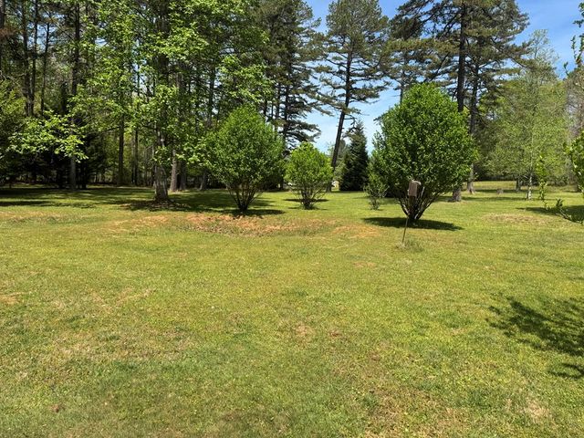 33 Big Tree Road, Suches, GA 30572