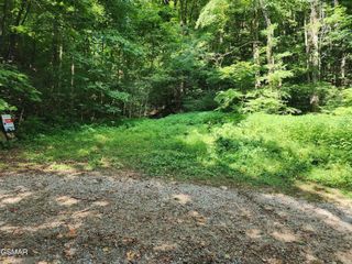 1986 Carrs Creek Road, Townsend, TN 37882
