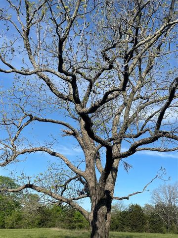 TBD County Rd 108, Whitesboro, TX 76273