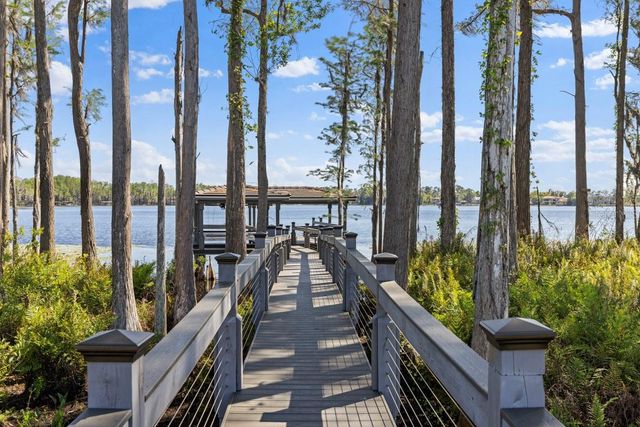 9312 BLANCHE COVE DR, Windermere, FL 34786