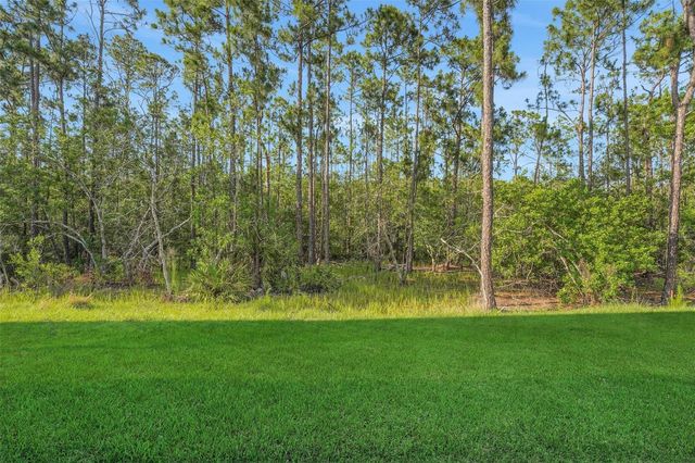 14285 CREST PALM AVENUE, Windermere, FL 34786