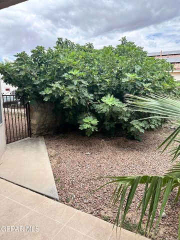 659 SARA LYNN Court, El Paso, TX 79932