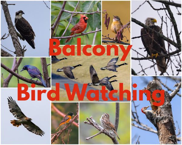 100 E Hartsdale Avenue 4JE, Hartsdale, NY 10530