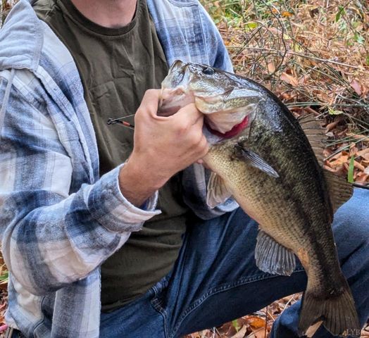 520 Old Trents Ferry Road, Lynchburg, VA 24503