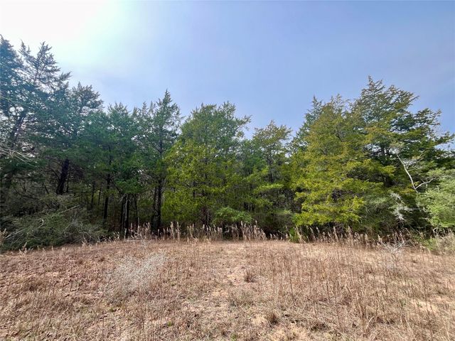 TBD Hayek Road, Columbus, TX 78934