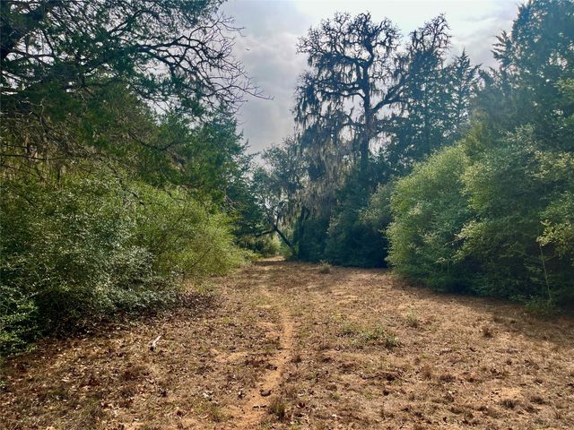 TBD Hayek Road, Columbus, TX 78934