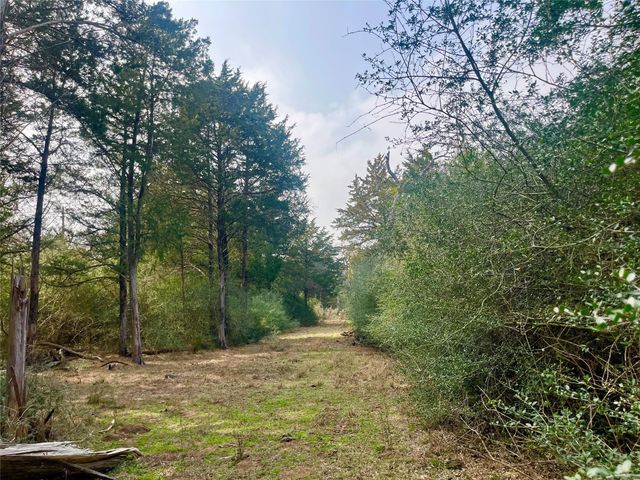 TBD Hayek Road, Columbus, TX 78934