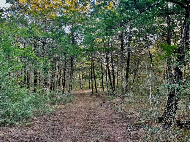 TBD Hayek Road, Columbus, TX 78934