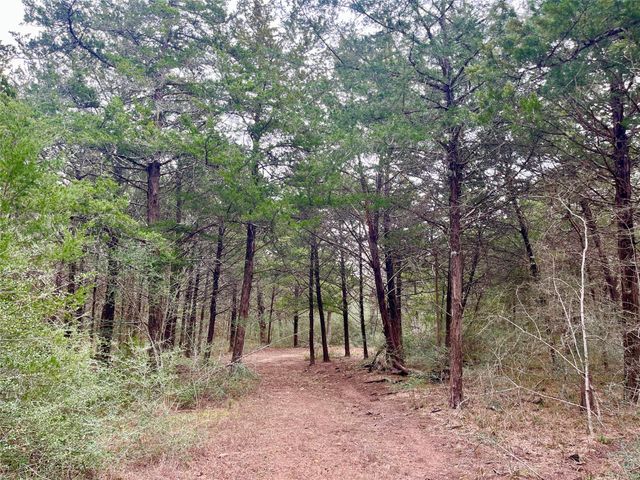 TBD Hayek Road, Columbus, TX 78934