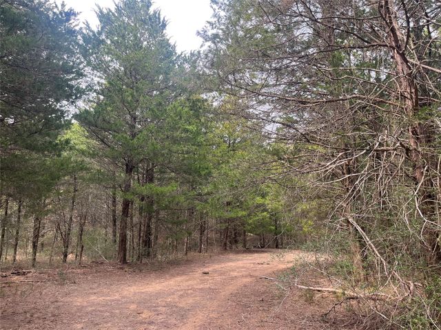 TBD Hayek Road, Columbus, TX 78934