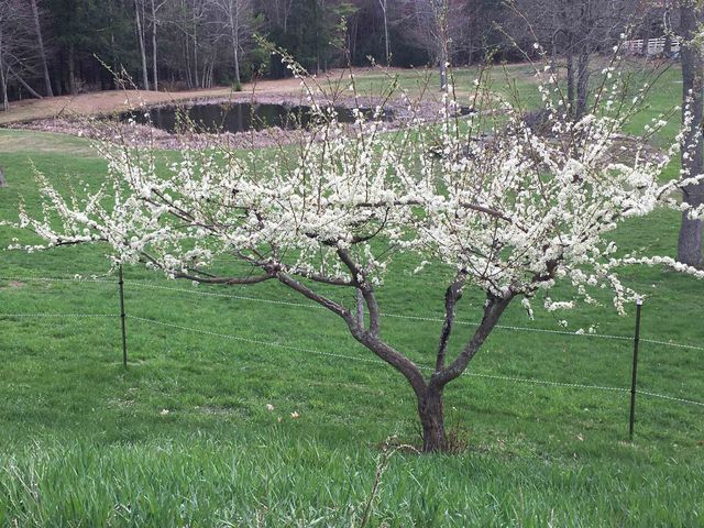 184 Deerfield Road, Nottingham, NH 03290