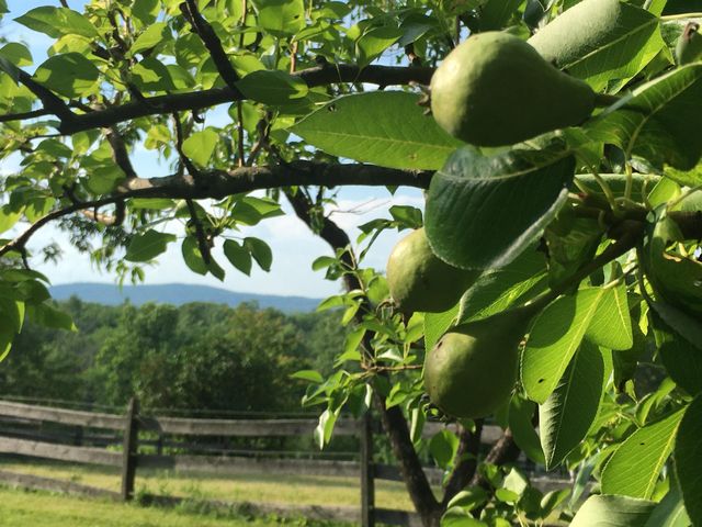 184 Deerfield Road, Nottingham, NH 03290