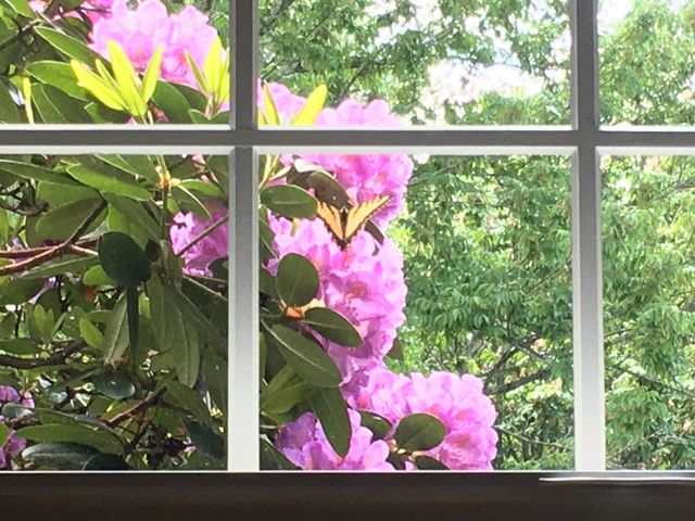 184 Deerfield Road, Nottingham, NH 03290