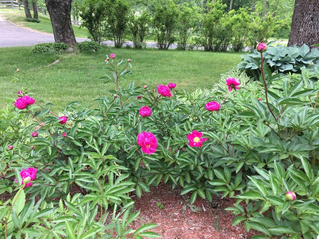 184 Deerfield Road, Nottingham, NH 03290