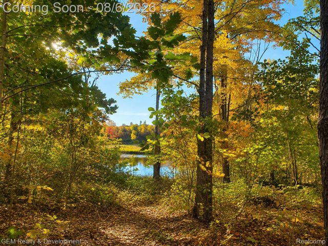 6004 Seven Mile Road, Salem Township, MI 48167