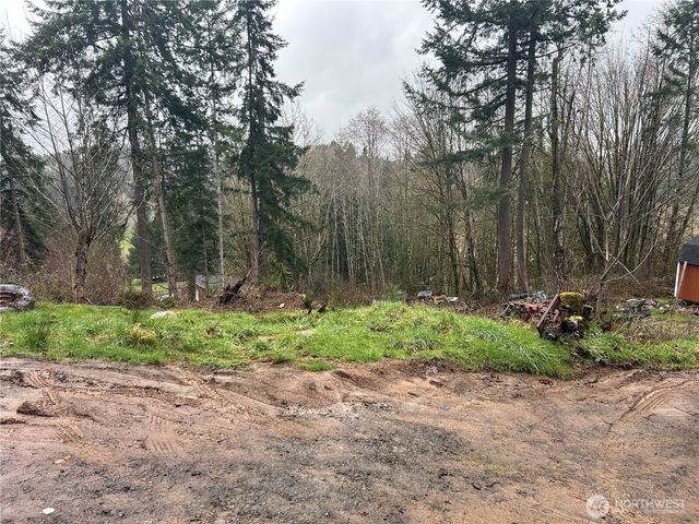 514 Berry Rd, Adna, WA 98532