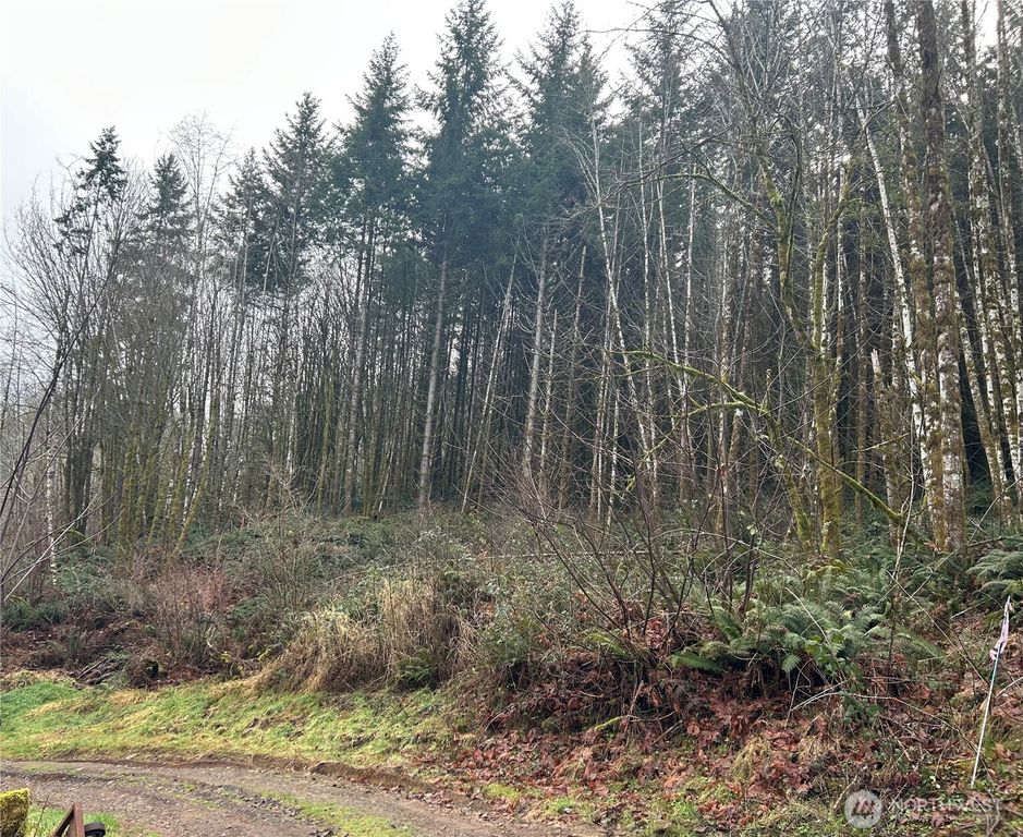 514 Berry Rd, Adna, WA 98532