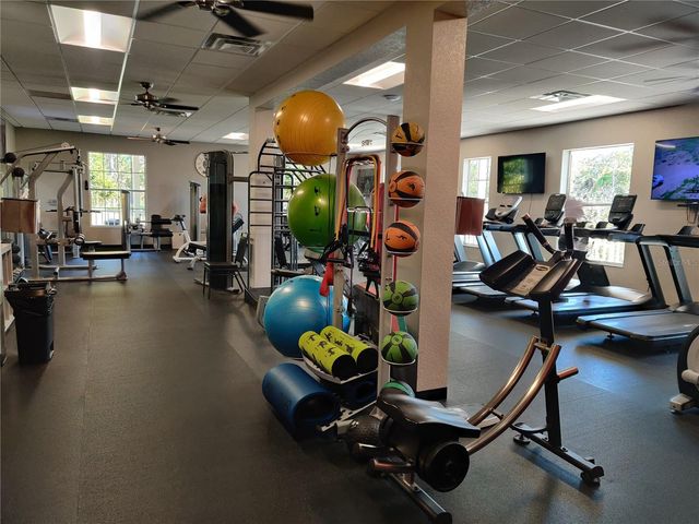 10824 COLLAR DR, San Antonio, FL 33576