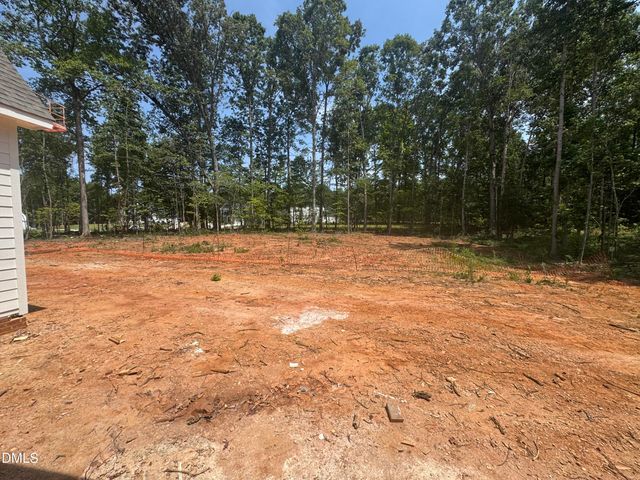 396 Mollie Meadow Drive, Zebulon, NC 27597