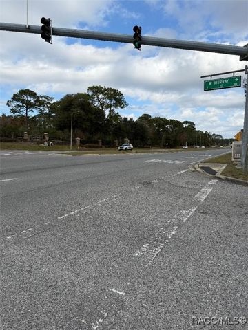 4401 Lena Drive, Beverly Hills, FL 34465