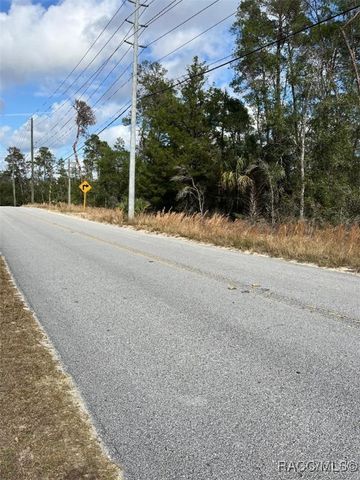 4401 Lena Drive, Beverly Hills, FL 34465