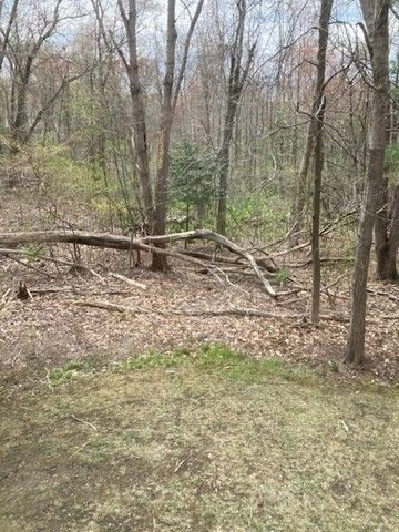 304 Manor Terrace 304, Lexington, MA 02420