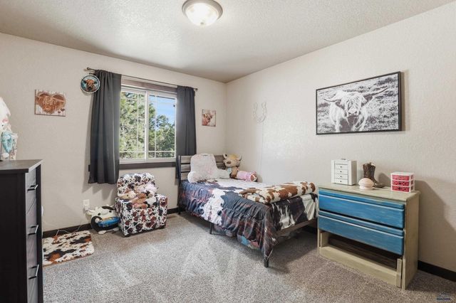 24636 CROOKED CANYON RD, Hermosa, SD 57744