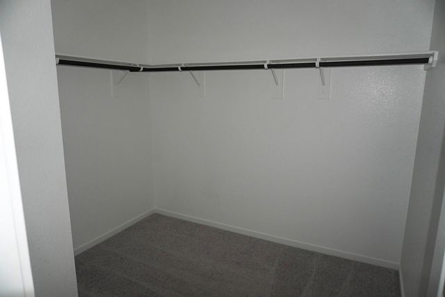 16803 Great Stable Way, Hockley, TX 77447