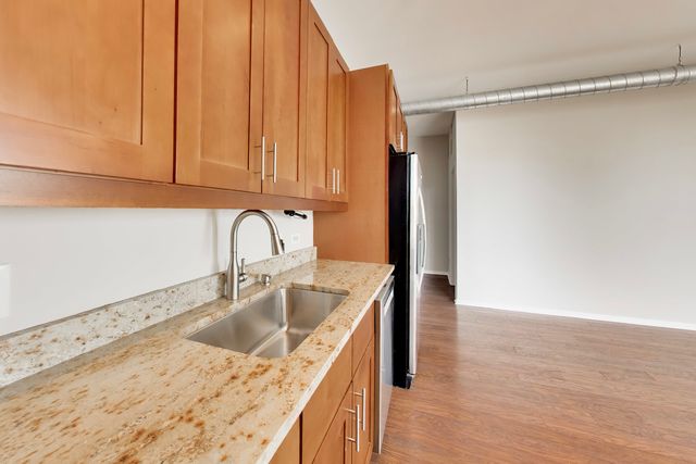 1631 S MICHIGAN Avenue 506, Chicago, IL 60616