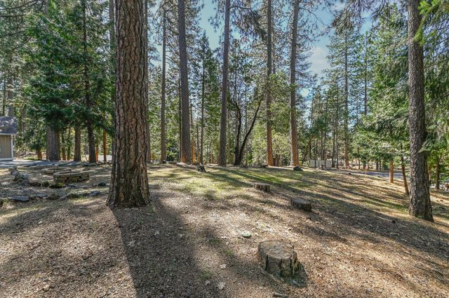 18190 N Meadow Dr, Pioneer, CA 95666