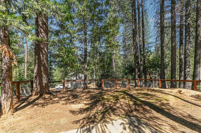 18190 N Meadow Dr, Pioneer, CA 95666