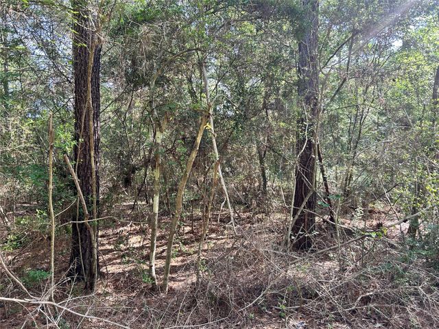 Lot 28 Sycamore Lane, Plantersville, TX 77363