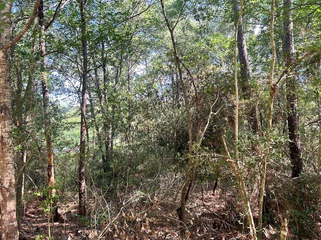 Lot 28 Sycamore Lane, Plantersville, TX 77363