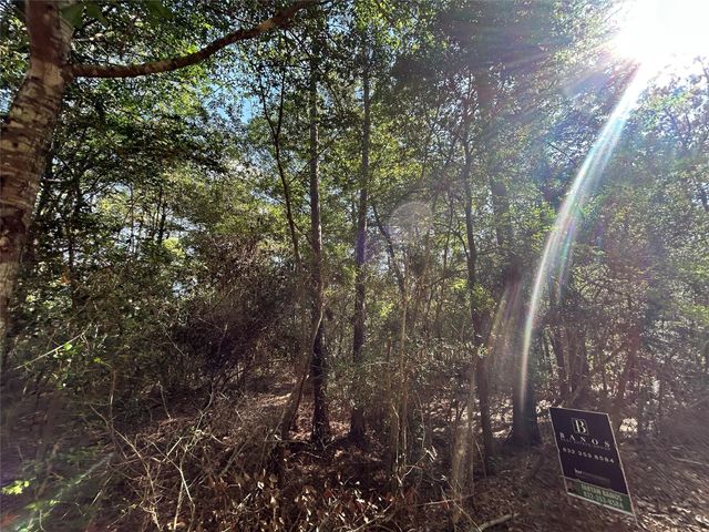 Lot 28 Sycamore Lane, Plantersville, TX 77363