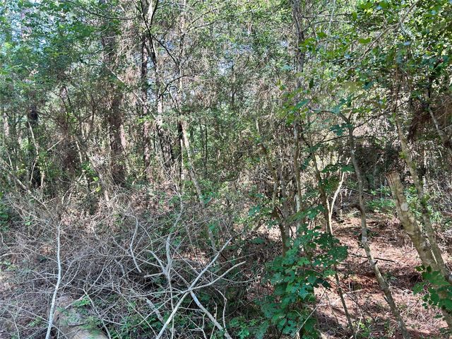 Lot 28 Sycamore Lane, Plantersville, TX 77363