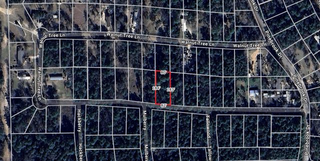 Lot 28 Sycamore Lane, Plantersville, TX 77363