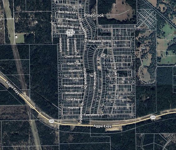 Lot 28 Sycamore Lane, Plantersville, TX 77363